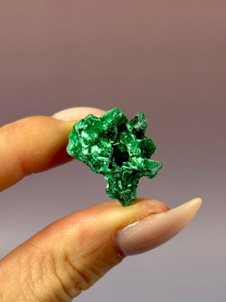 VELVET MALACHITE CLUSTER (8) tumble stone The Crystal Avenues 