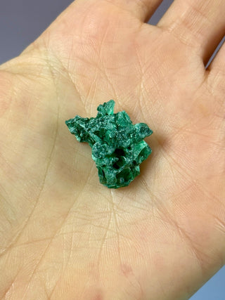 VELVET MALACHITE CLUSTER (8) tumble stone The Crystal Avenues 