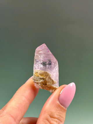 VERA CRUZ AMETHYST POINT - MEXICO (19) Point The Crystal Avenues 