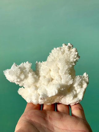 WHITE ARAGONITE 'CAVE CALCITE' (1) Cluster The Crystal Avenues 