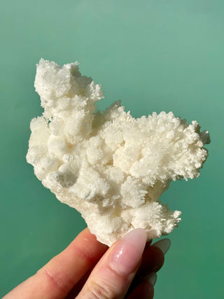WHITE ARAGONITE 'CAVE CALCITE' (1) Cluster The Crystal Avenues 