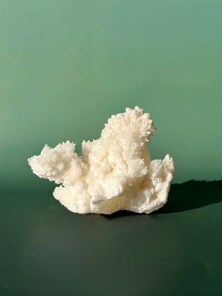 WHITE ARAGONITE 'CAVE CALCITE' (1) Cluster The Crystal Avenues 