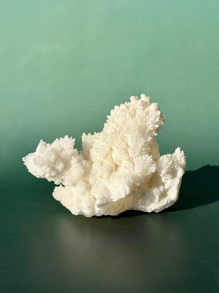 WHITE ARAGONITE 'CAVE CALCITE' (1) Cluster The Crystal Avenues 