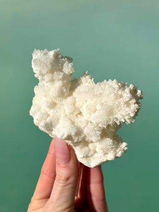 WHITE ARAGONITE 'CAVE CALCITE' (1) Cluster The Crystal Avenues 