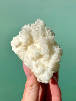 WHITE ARAGONITE 'CAVE CALCITE' (2) Cluster The Crystal Avenues 