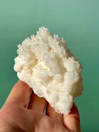 WHITE ARAGONITE 'CAVE CALCITE' (2) Cluster The Crystal Avenues 