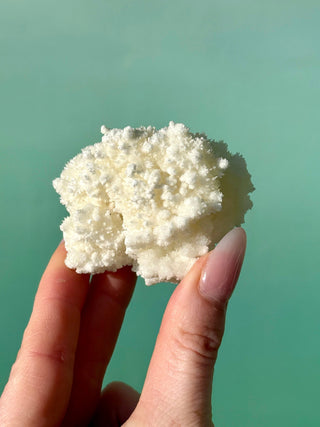 WHITE ARAGONITE 'CAVE CALCITE' (3) Cluster The Crystal Avenues 