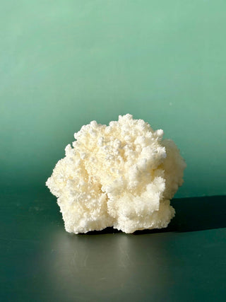 WHITE ARAGONITE 'CAVE CALCITE' (3) Cluster The Crystal Avenues 