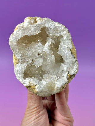 WHITE QUARTZ FRIENDSHIP GEODE (10A) The Crystal Avenues 