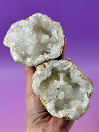 WHITE QUARTZ FRIENDSHIP GEODE (10A) The Crystal Avenues 