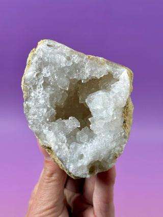 WHITE QUARTZ FRIENDSHIP GEODE (11A) The Crystal Avenues 