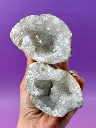 WHITE QUARTZ FRIENDSHIP GEODE (14A) The Crystal Avenues 