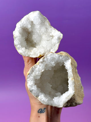 WHITE QUARTZ FRIENDSHIP GEODE (7A) The Crystal Avenues 