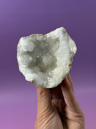 WHITE QUARTZ FRIENDSHIP GEODE (7A) The Crystal Avenues 