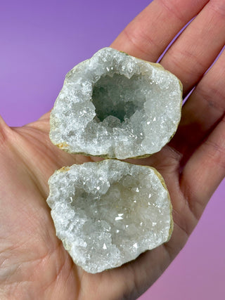 WHITE QUARTZ FRIENDSHIP GEODE - SMALL (1) The Crystal Avenues 