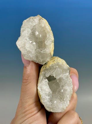 WHITE QUARTZ FRIENDSHIP GEODE - SMALL (44) The Crystal Avenues 
