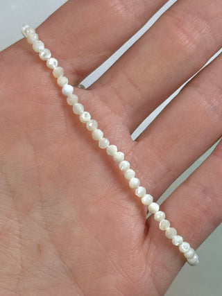 WHITE TROCHIDAE SHELL FACET STRETCH BRACELET Bracelet The Crystal Avenues 