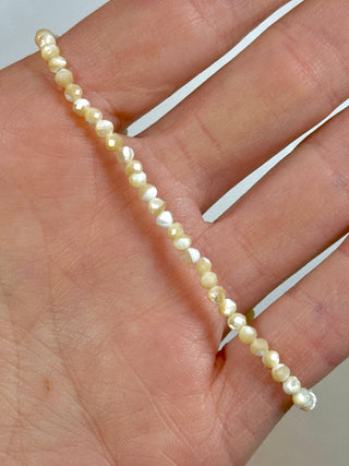 YELLOW TROCHIDAE SHELL FACET STRETCH BRACELET Bracelet The Crystal Avenues 