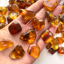Load image into Gallery viewer, AMBER (BALTIC) Bracelet The Crystal Avenues 
