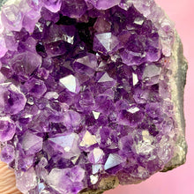 Load image into Gallery viewer, AMETHYST CLUSTER (LARGE) EXTRA QUALITY (3) Druze The Crystal Avenues 
