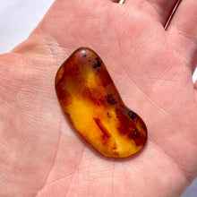 Load image into Gallery viewer, BALTIC AMBER (3) Bracelet The Crystal Avenues 

