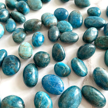 Load image into Gallery viewer, BLUE APATITE TUMBLE STONE SMALL tumble stone The Crystal Avenues 
