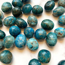 Load image into Gallery viewer, BLUE APATITE TUMBLE STONE tumble stone The Crystal Avenues 
