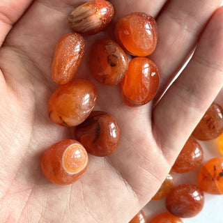 CARNELIAN SMALL TUMBLE STONE tumble stone The Crystal Avenues 