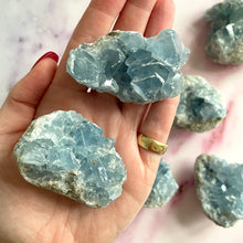 Load image into Gallery viewer, CELESTITE CLUSTER Cluster The Crystal Avenues 
