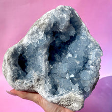 Load image into Gallery viewer, CELESTITE CLUSTER - EXTRA QUALITY (1) Cluster The Crystal Avenues 
