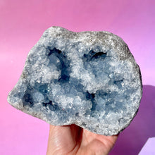 Load image into Gallery viewer, CELESTITE CLUSTER - EXTRA QUALITY (2) Cluster The Crystal Avenues 
