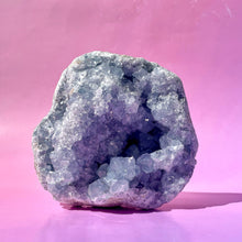Load image into Gallery viewer, CELESTITE CLUSTER - EXTRA QUALITY (3) Cluster The Crystal Avenues 
