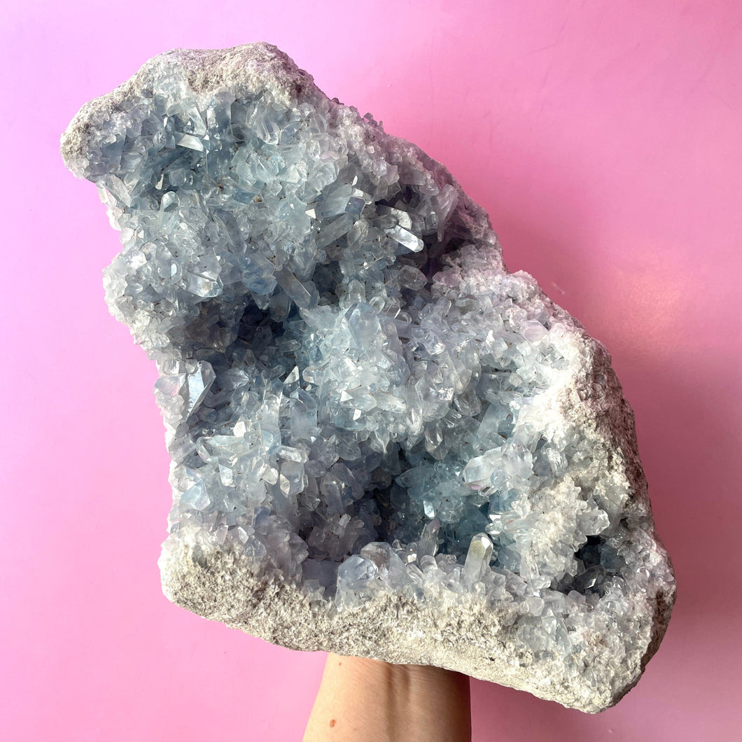 CELESTITE CLUSTER XL - EXTRA QUALITY (A) Cluster The Crystal Avenues 
