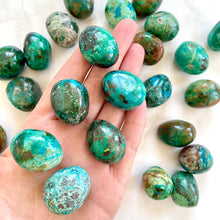 Load image into Gallery viewer, CHRYSOCOLLA TUMBLE STONE tumble stone The Crystal Avenues 
