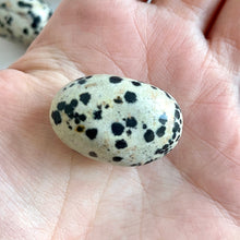 Load image into Gallery viewer, DALMATION JASPER TUMBLE STONE Bracelet The Crystal Avenues 
