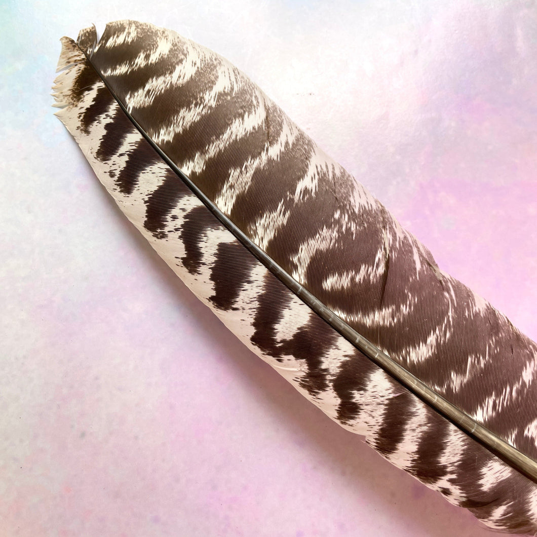 FEATHER FAN Smudge Stick The Crystal Avenues 