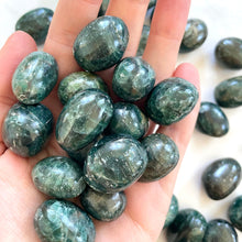 Indlæs billede til gallerivisning GREEN APATITE TUMBLE STONE tumble stone The Crystal Avenues 
