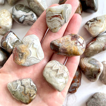 Load image into Gallery viewer, LAGUNA LACE AGATE TUMBLE STONE tumble stone The Crystal Avenues 
