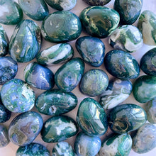 Load image into Gallery viewer, MOSS AGATE TUMBLE STONE Bracelet The Crystal Avenues 
