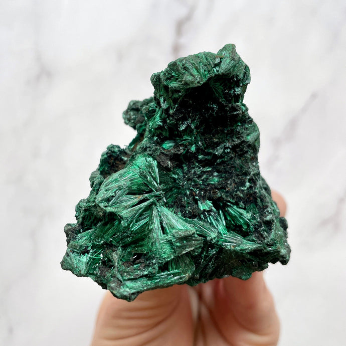 VELVET MALACHITE CLUSTER (6) tumble stone The Crystal Avenues 