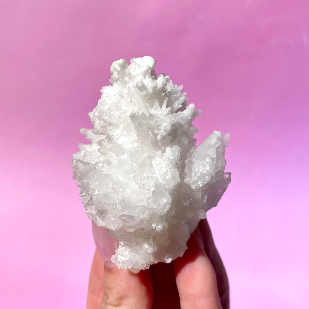 WHITE ARAGONITE 'CAVE CALCITE' (1) Cluster The Crystal Avenues 